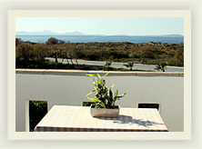 naxos live web cams